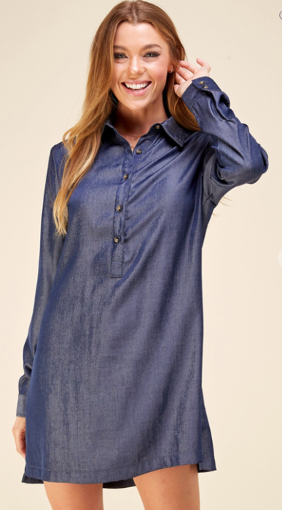 Long Sleeve Jean Dress